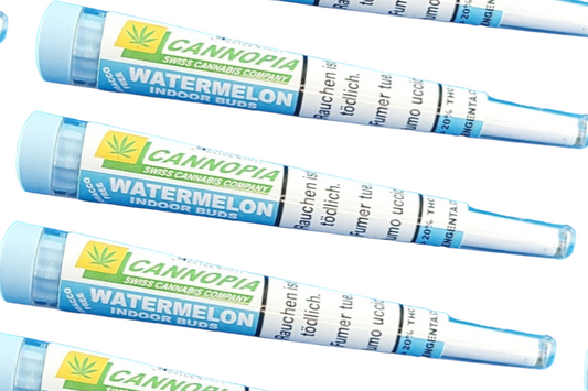 Mengenta_Cannopia_Water_Melon_Joint_CBD